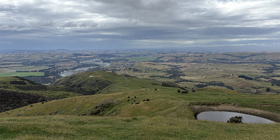 Kererū Hill Country Walk/Run